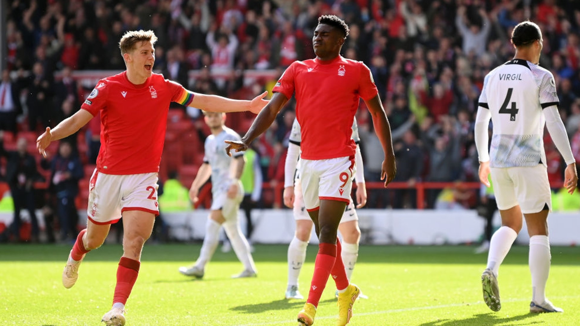 穆雷曾在采 穆雷曾在采