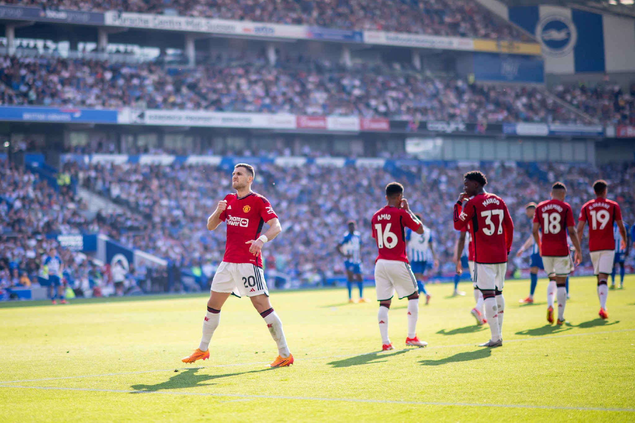 极为罕见 极为罕见